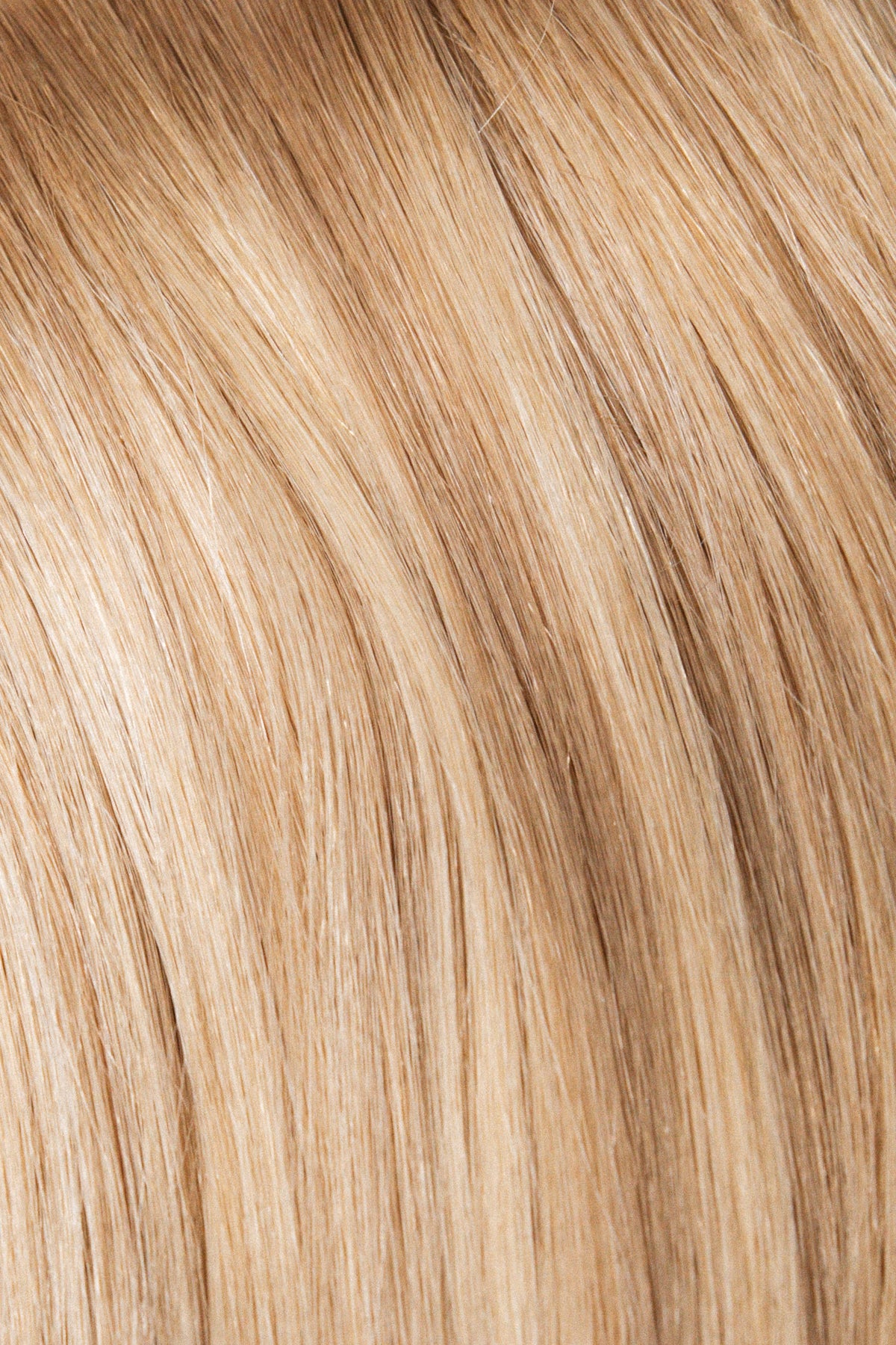 The Dimensionals Weft Collection