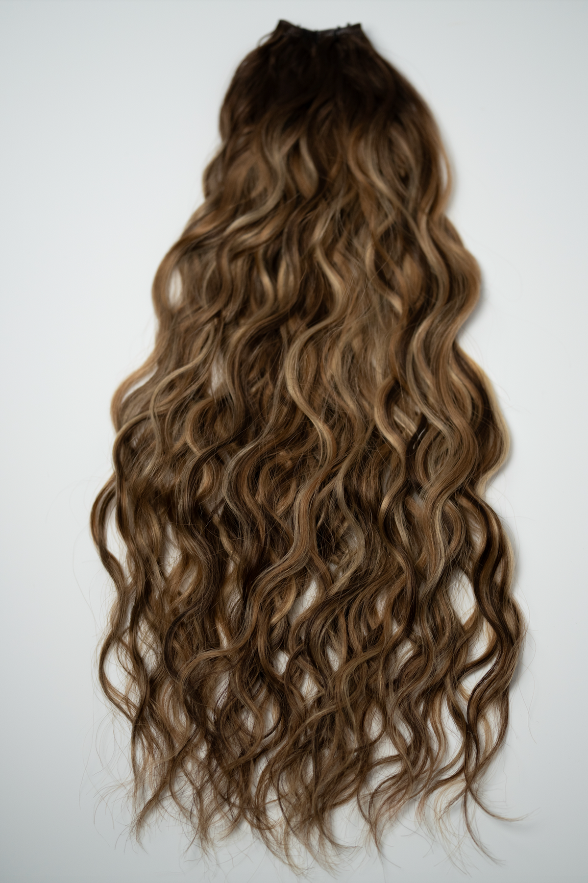 The Untamed Collection