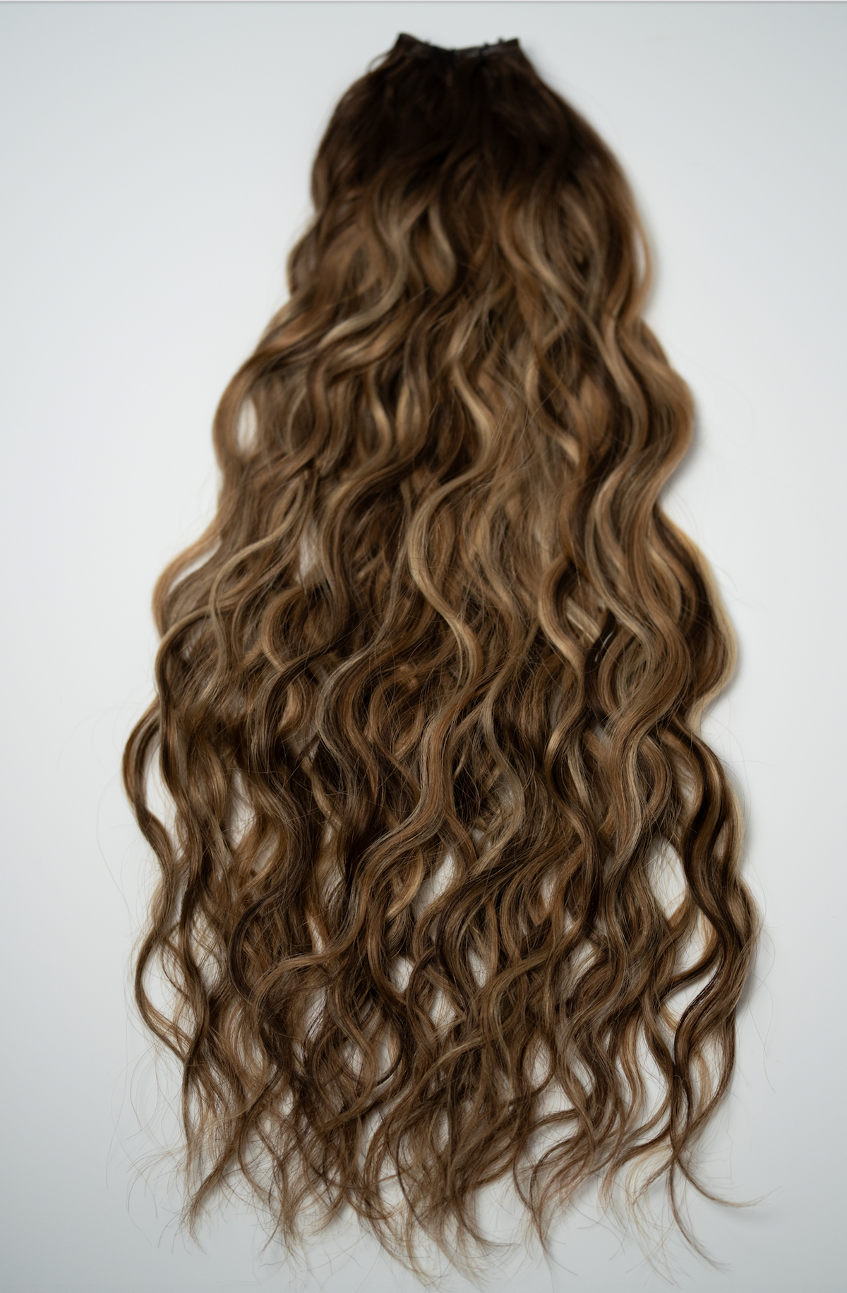 The Untamed Collection