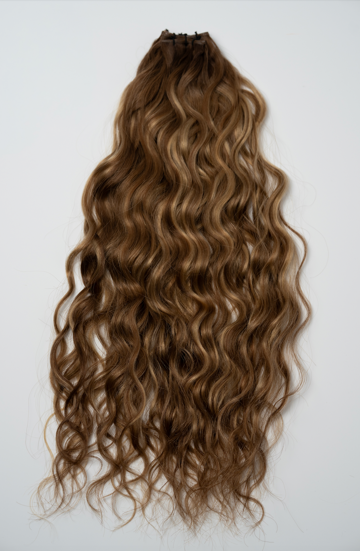 The Untamed Collection