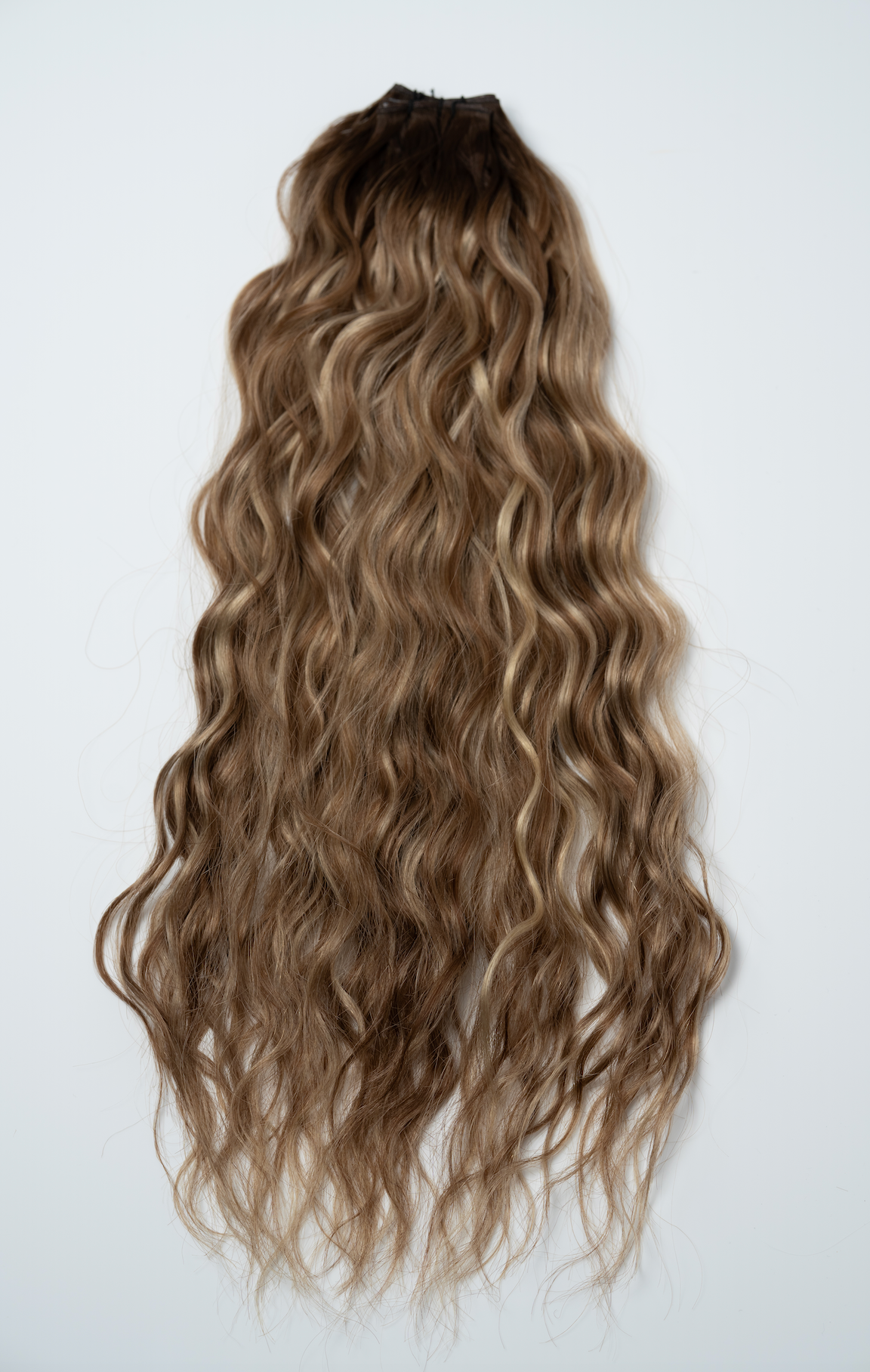 The Untamed Collection
