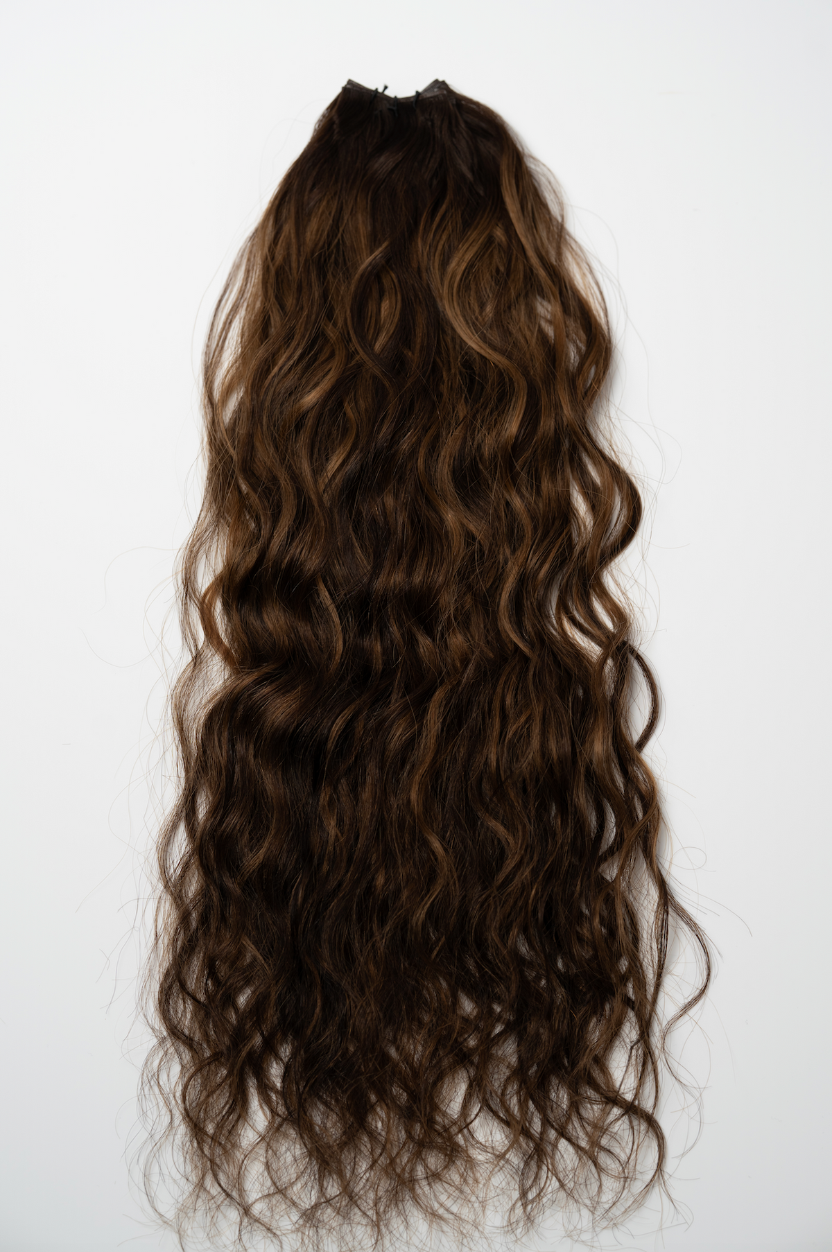 The Untamed Collection