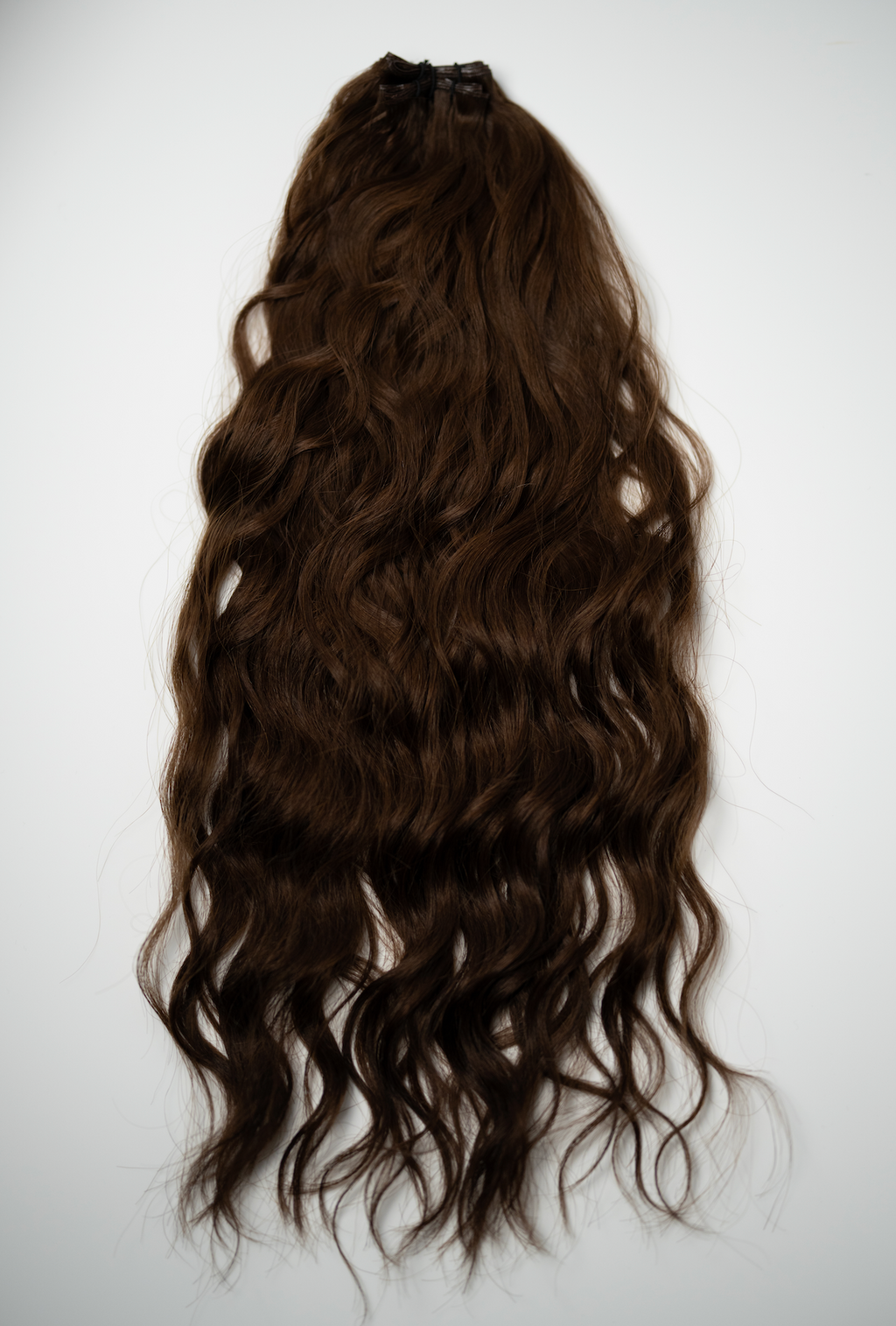 The Untamed Collection