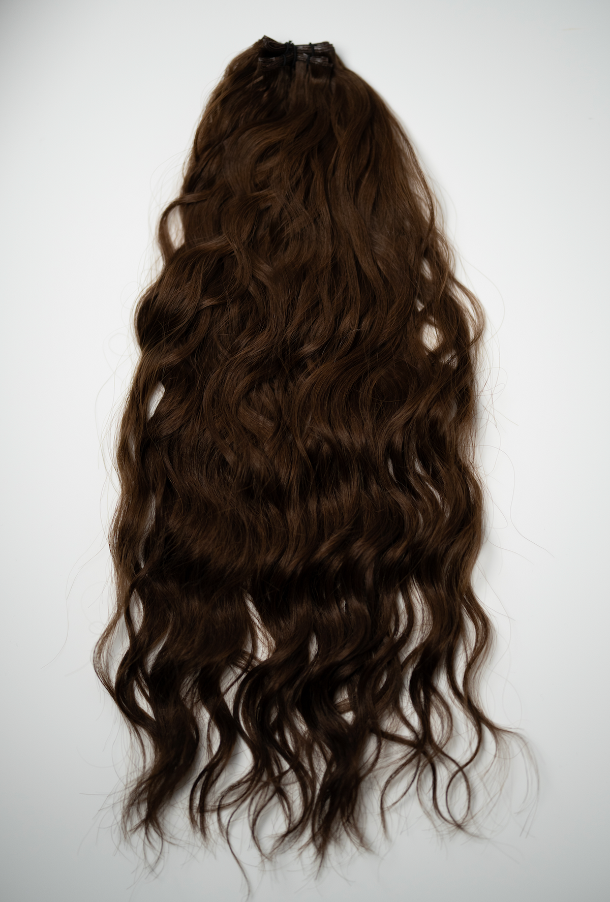 The Untamed Collection