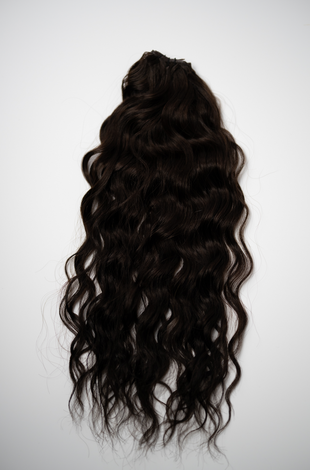 The Untamed Collection