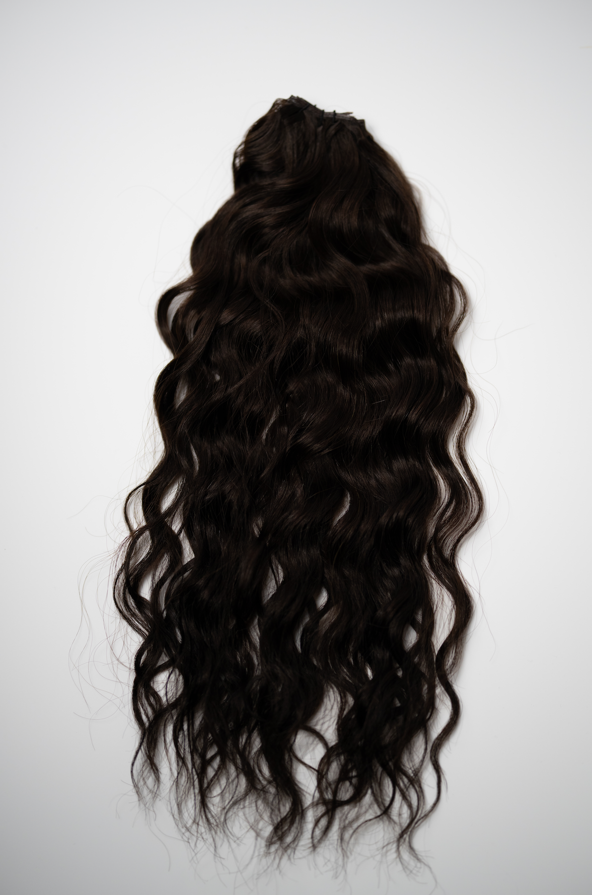 The Untamed Collection