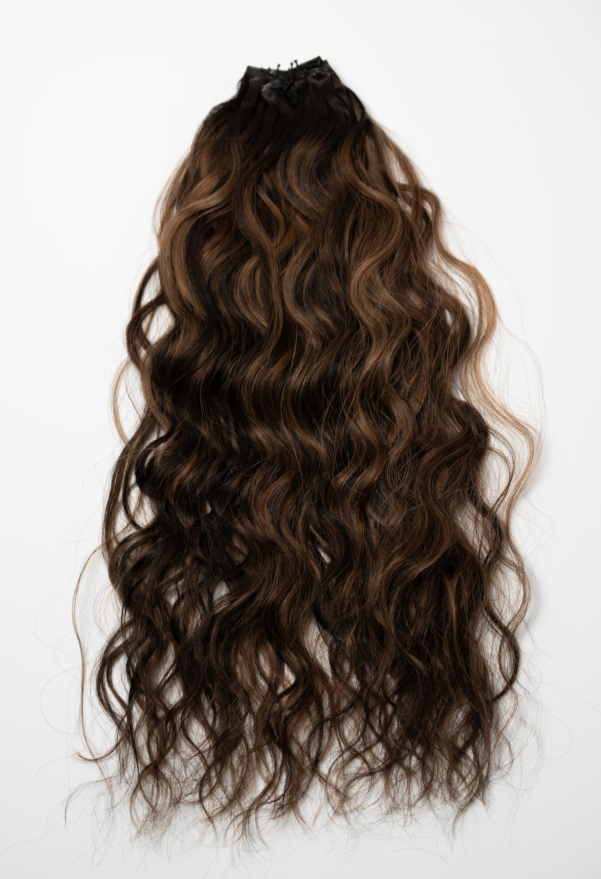The Untamed Collection