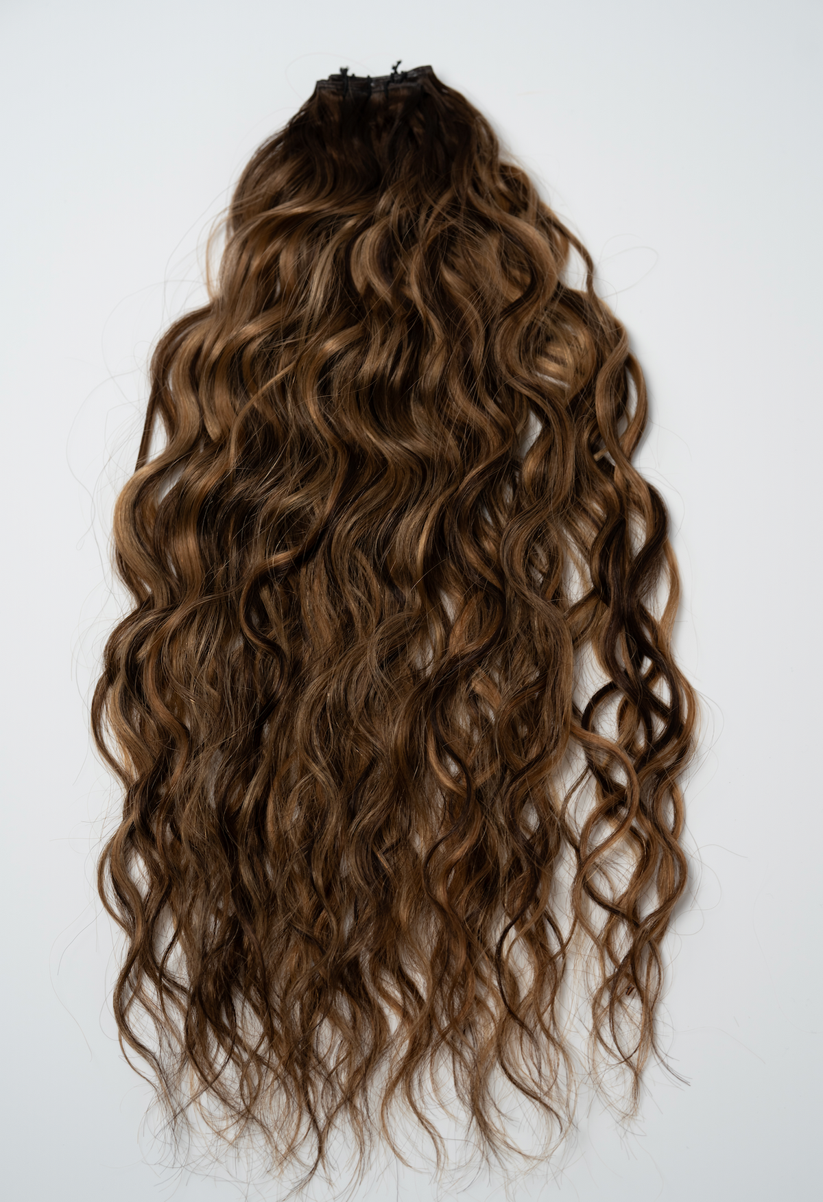 The Untamed Collection
