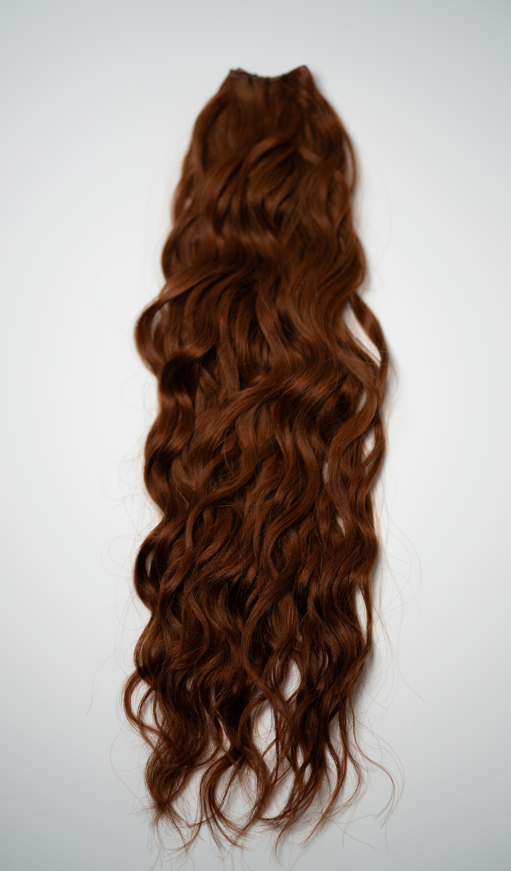 The Untamed Collection